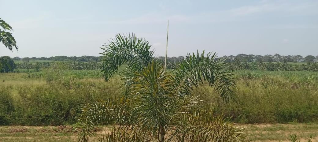 Ali Weta Safari Resort اوداوالاوي المظهر الخارجي الصورة